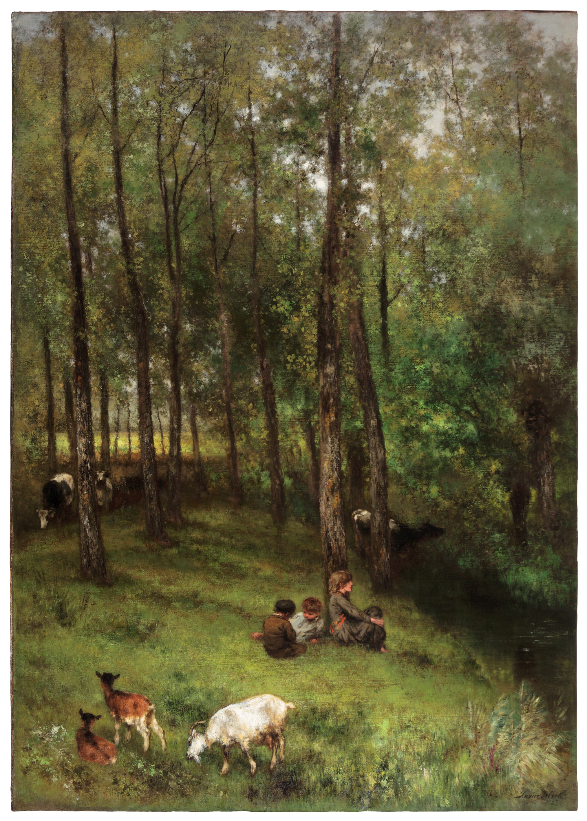 Rest in the forest